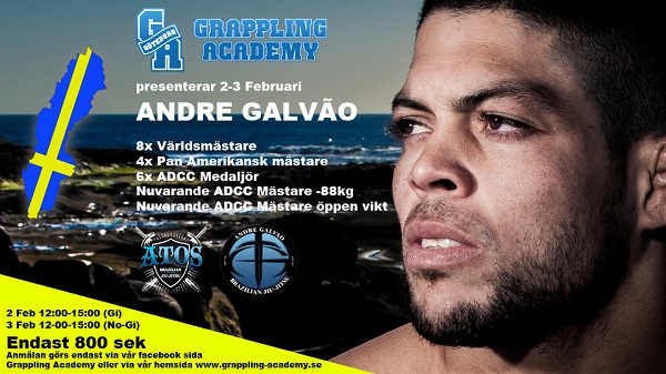 Andre-Galvao-Seminarie-2013-02